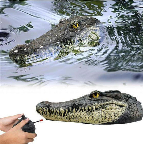 Tête De Crocodile Avec Télécommande
